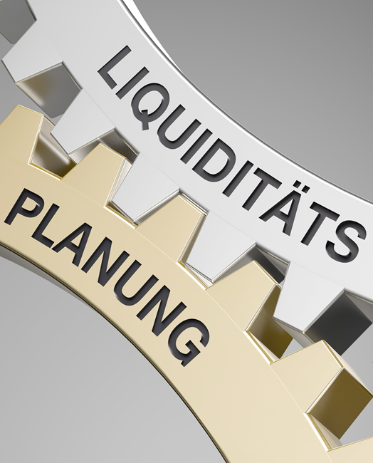 Liquiditätsplanung Liquiditätsplanung